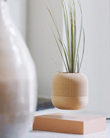 LEVITATING POT - two