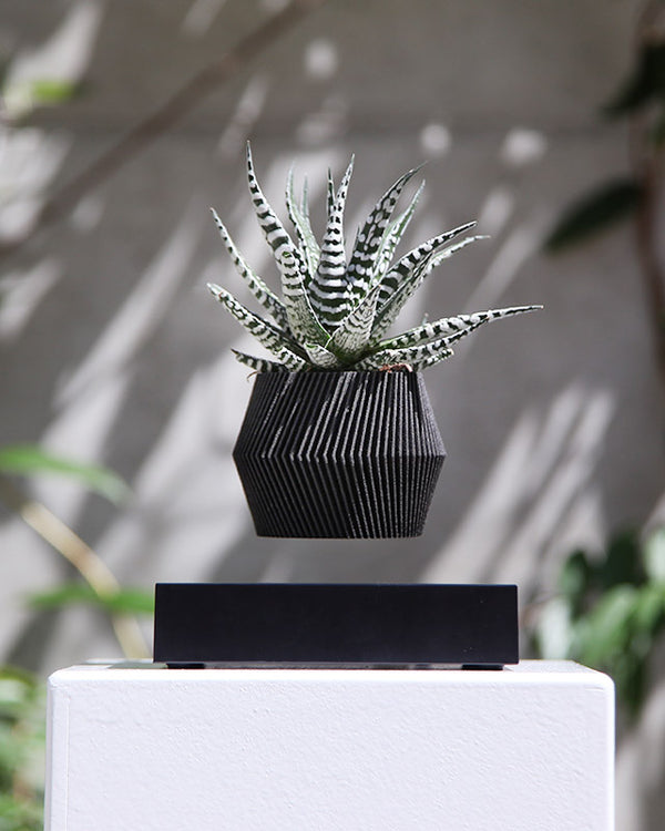 zero gravity pot plant LEVITATING POT